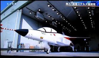 国产日本,日本元素在国产影视作品中的创新融合  第3张