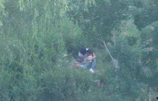 国产树林野战在线播放,热血激战，在线热血沸腾  第2张