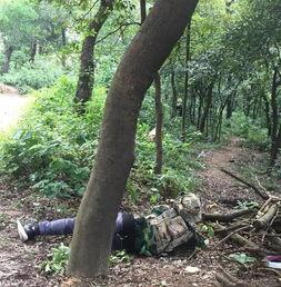 国产树林野战在线播放,热血激战，在线热血沸腾  第3张