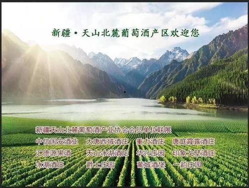 国产自产区,打造民族品牌新引擎  第3张